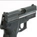 DXT Standard Dot - Sig P320 - SI-0002S-6